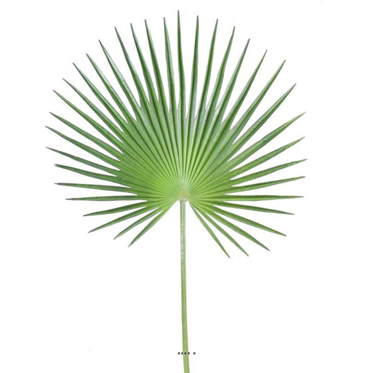 Feuille palmier Chamaerops artificielle H 150, ARTIFICIELLES