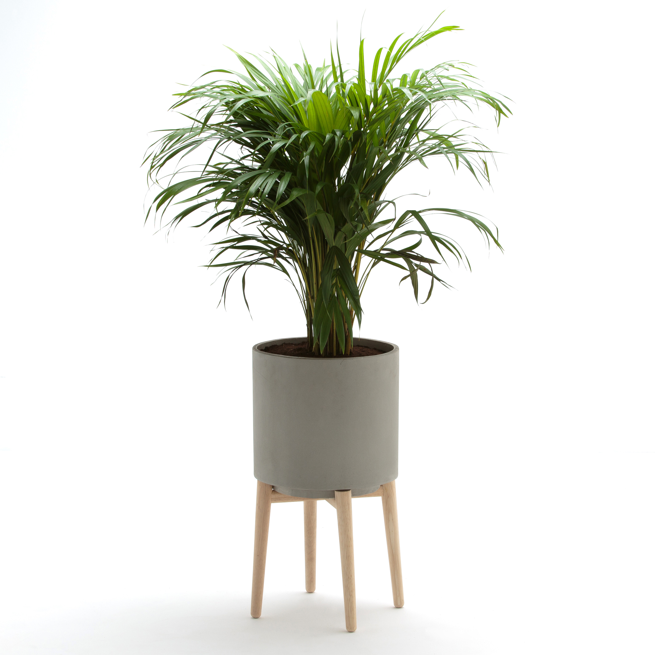 Florian plant pot on wooden feet, h58.5cm cement | La