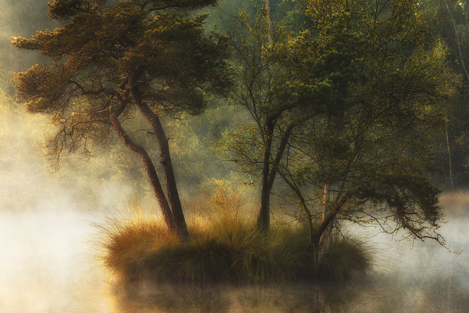 Tableau Ilôt d'automne, HEXOA