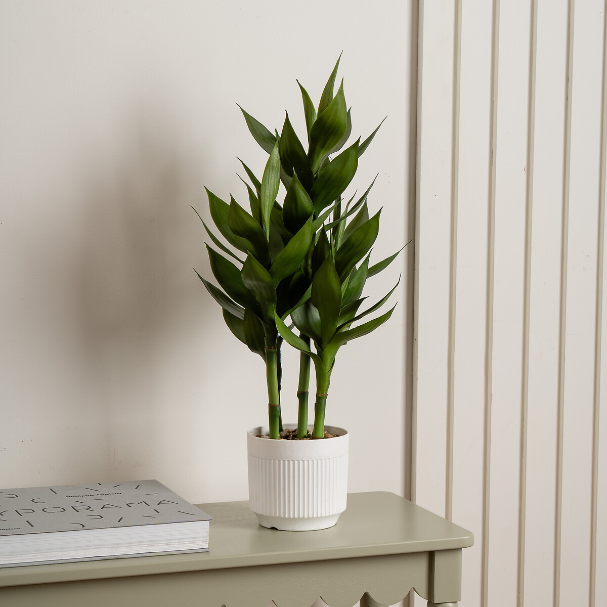 60cm Lucky Bamboo in Pot, SO'HOME