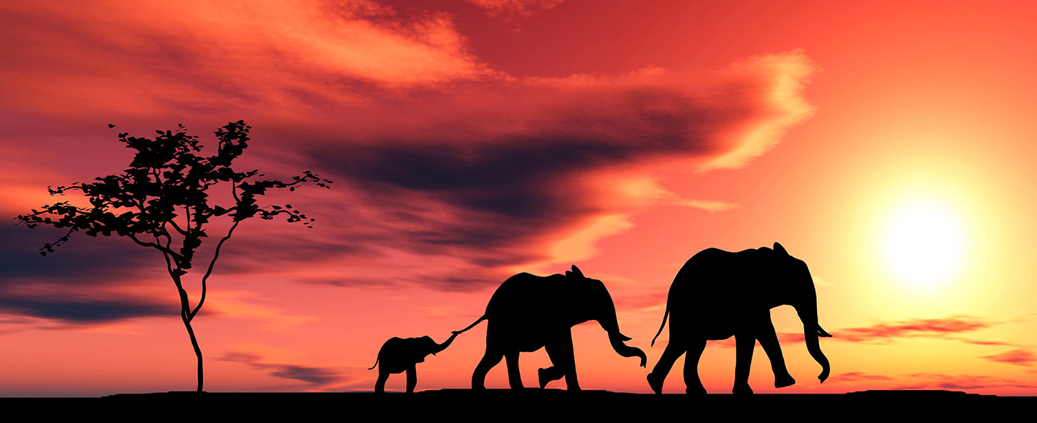 Tableau africain famille éléphants, HEXOA