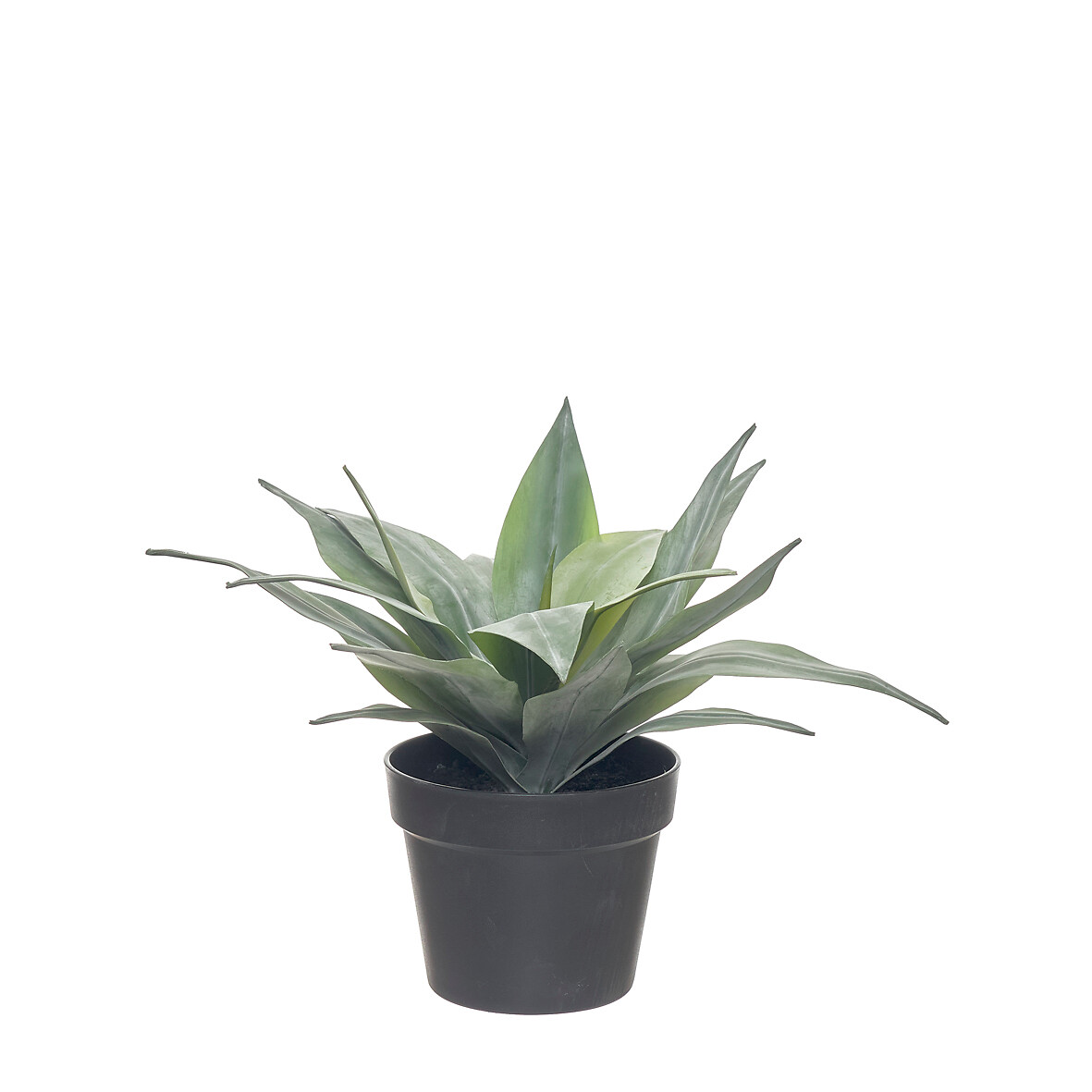 Planta artificial "Agave" 36cm, BORGHESI, BORGHESI