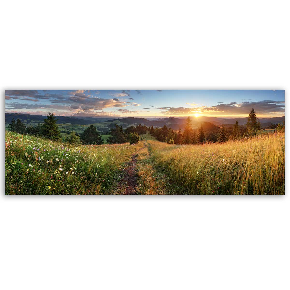 Tableau panoramique prairie fleurie et coucher de soleil campagne, HEXOA