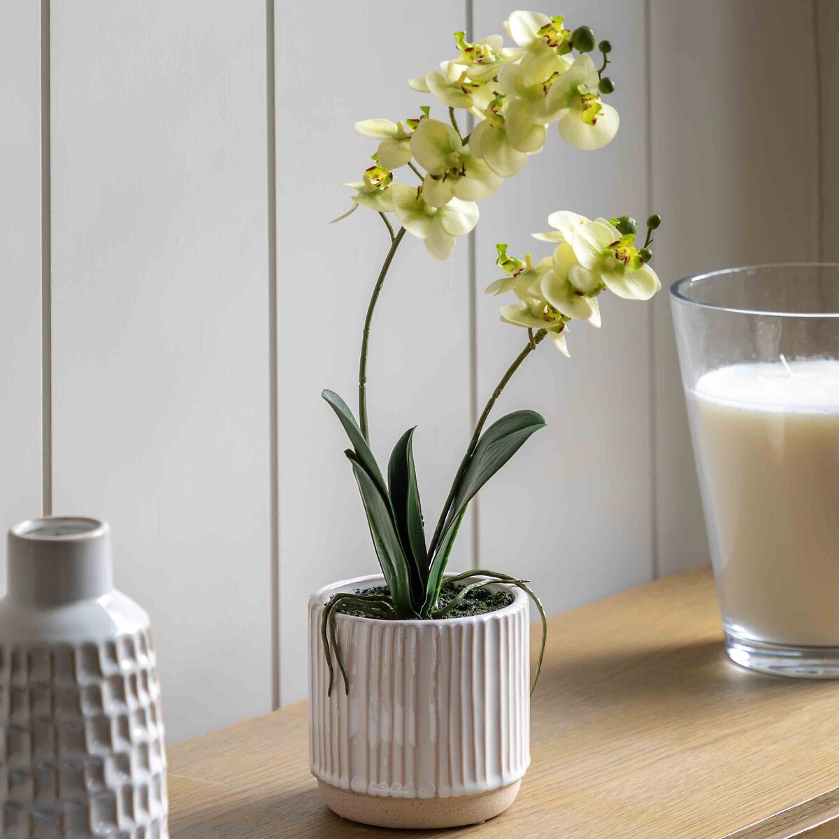 44cm Orchid in Ribbed White Ceramic Pot, ÉDITÉ
