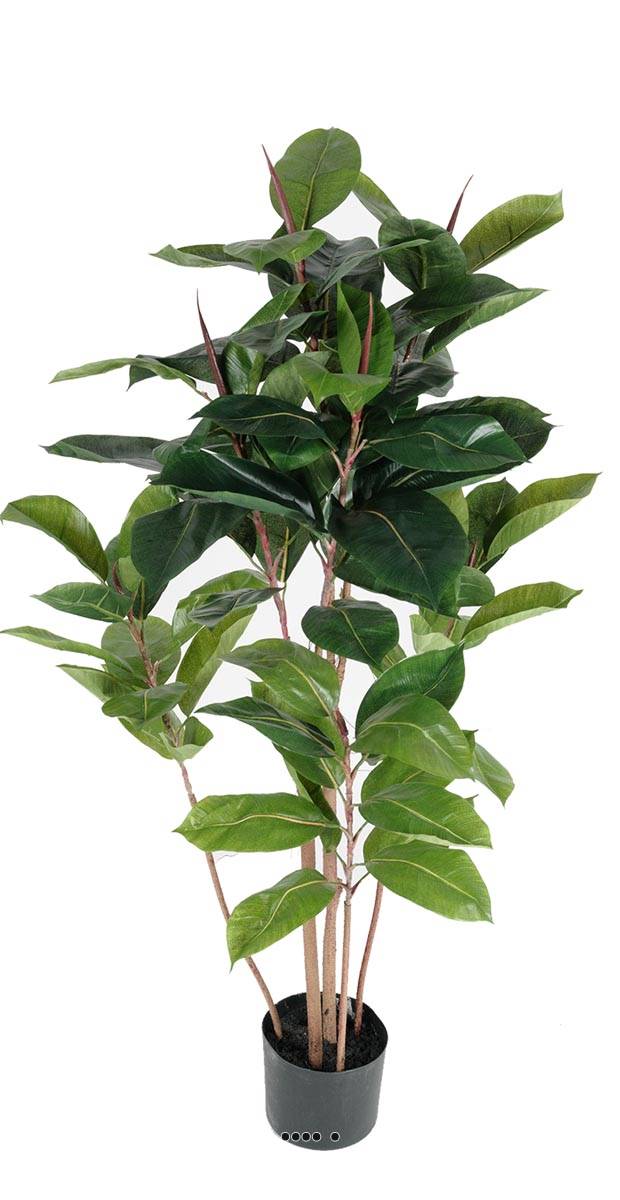 Ficus Robusta factice tronc PE en pot bea, ARTIFICIELLES