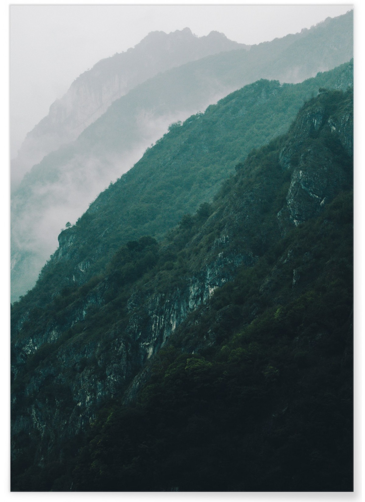 Poster Nature Brume, L'AFFICHERIE