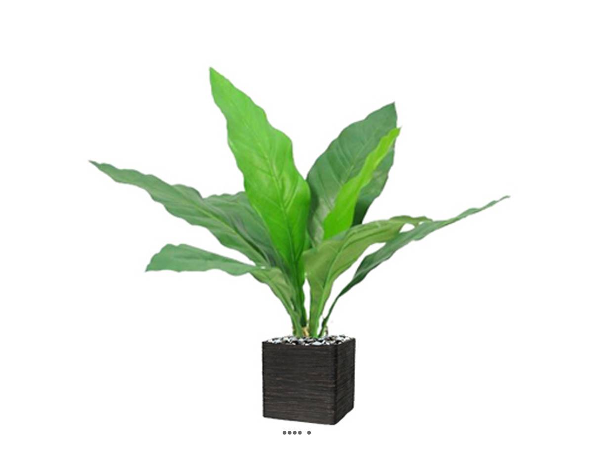 Piquet d'anthurium artificiel H 5, ARTIFICIELLES