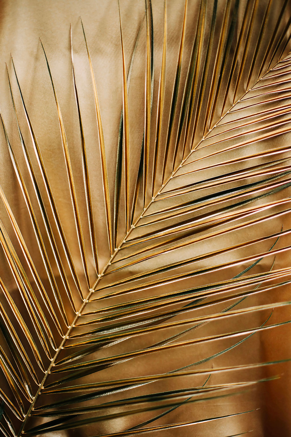 Tableau golden palm, HEXOA