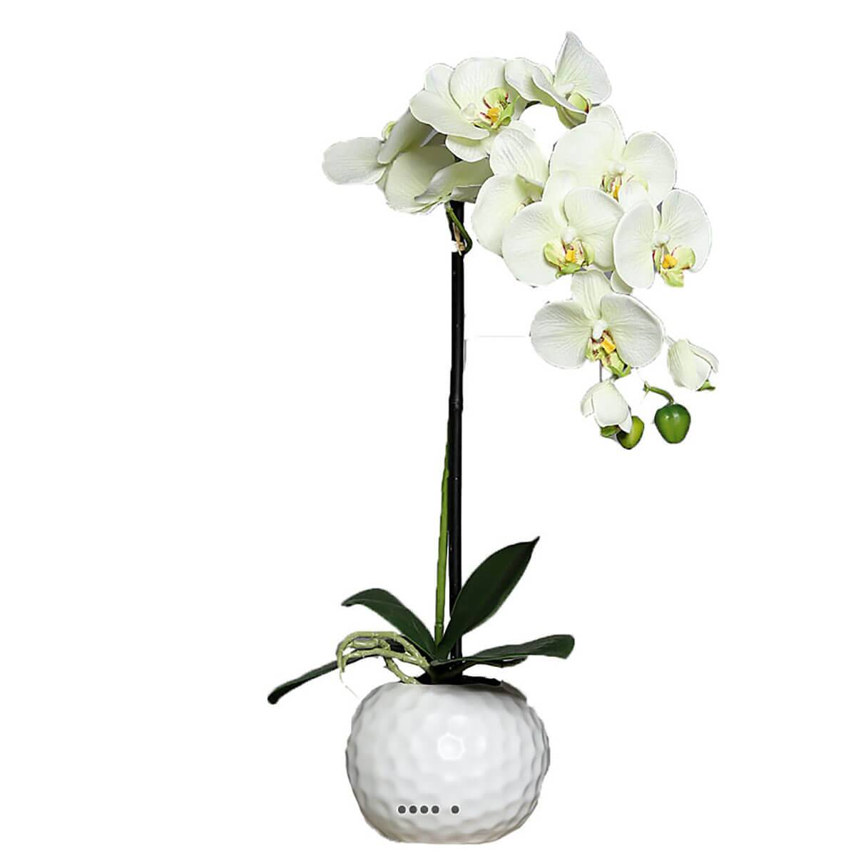 Orchidee artificielle crème Vert1 hampe en po, ARTIFICIELLES
