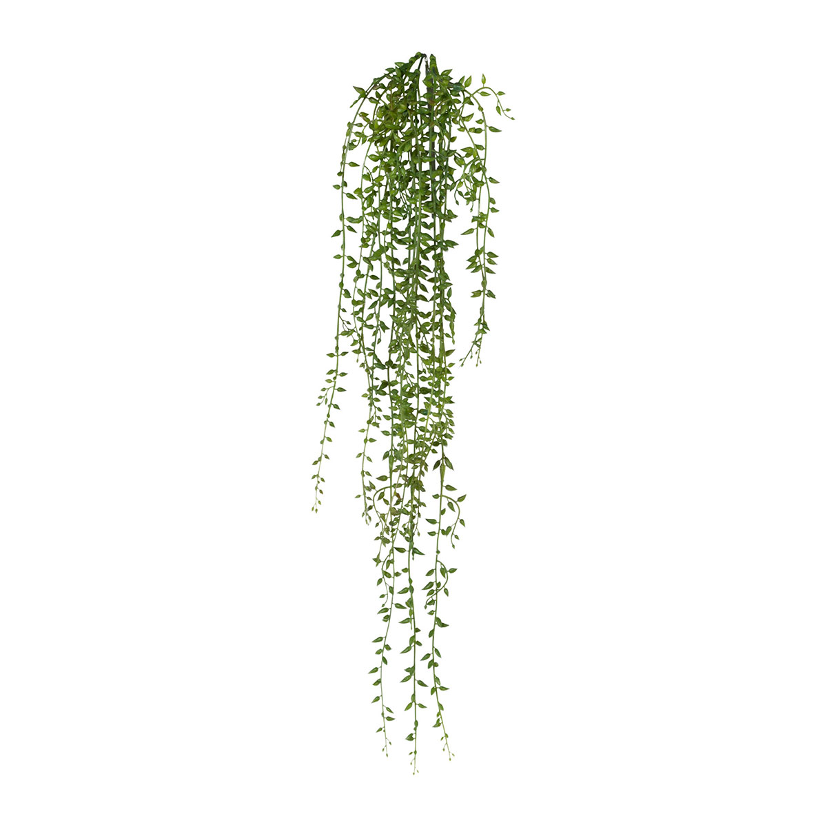 Chute de senecio artificiel Longueur 72 cm, ARTIFICIELLES
