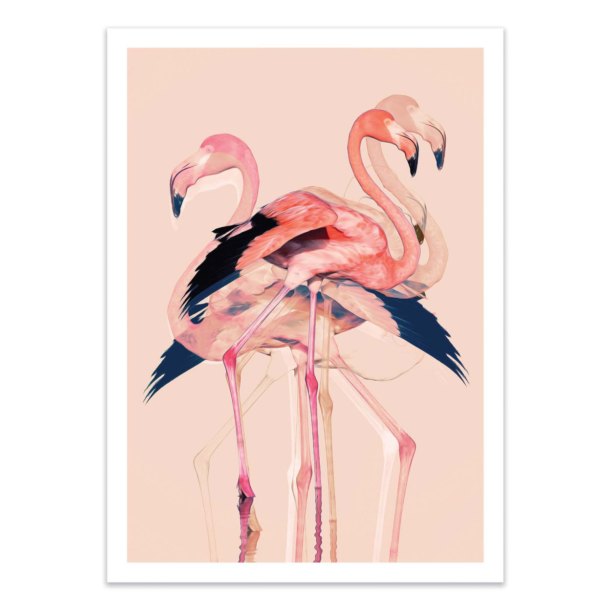 Affiche d'art - Flamingos nr. 3 - Baard Martinussen, WALL EDITIONS