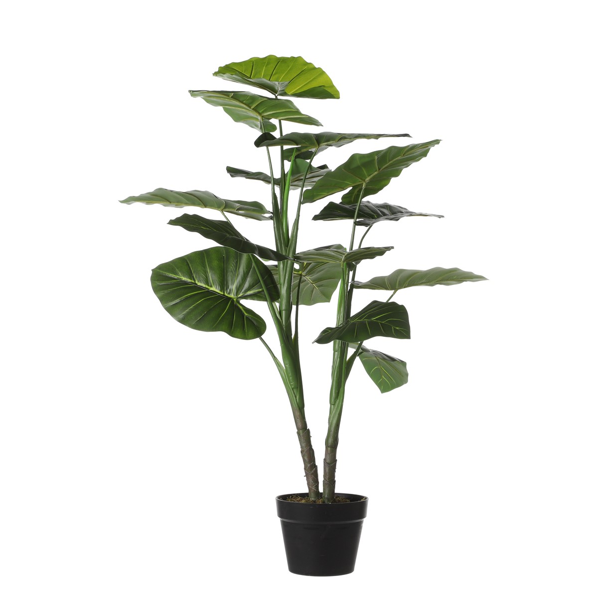 Plante artificielle TARO, MICA DECORATIONS