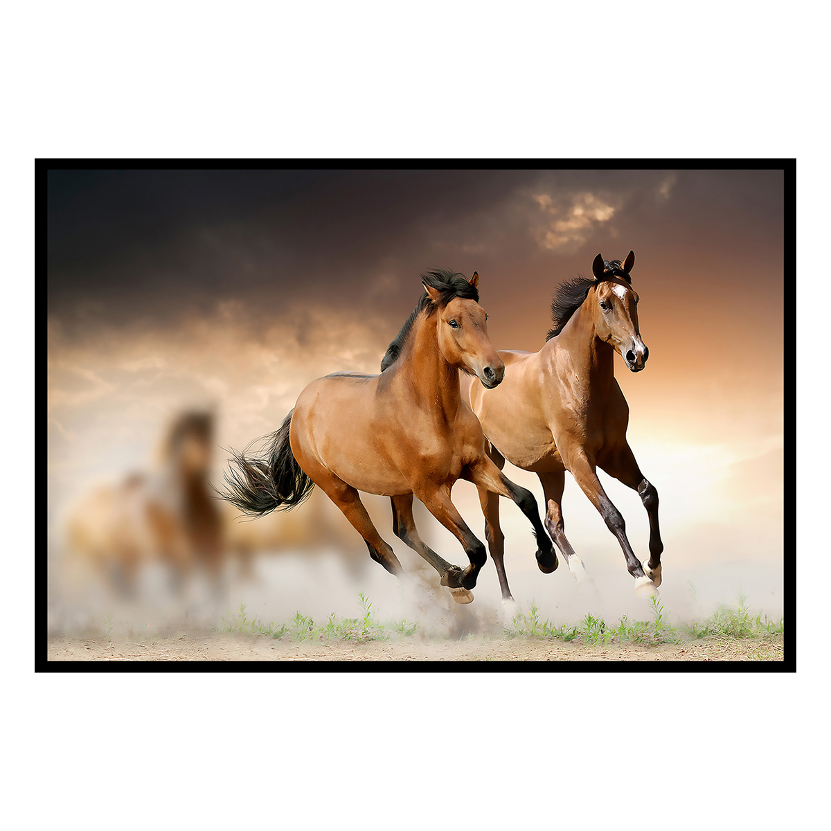 Affiche encadrée chevaux au galop, HEXOA