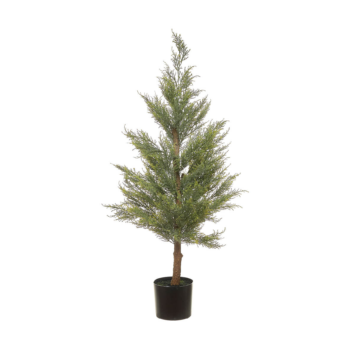 Planta artificial "Cypress" 120cm, BORGHESI, BORGHESI