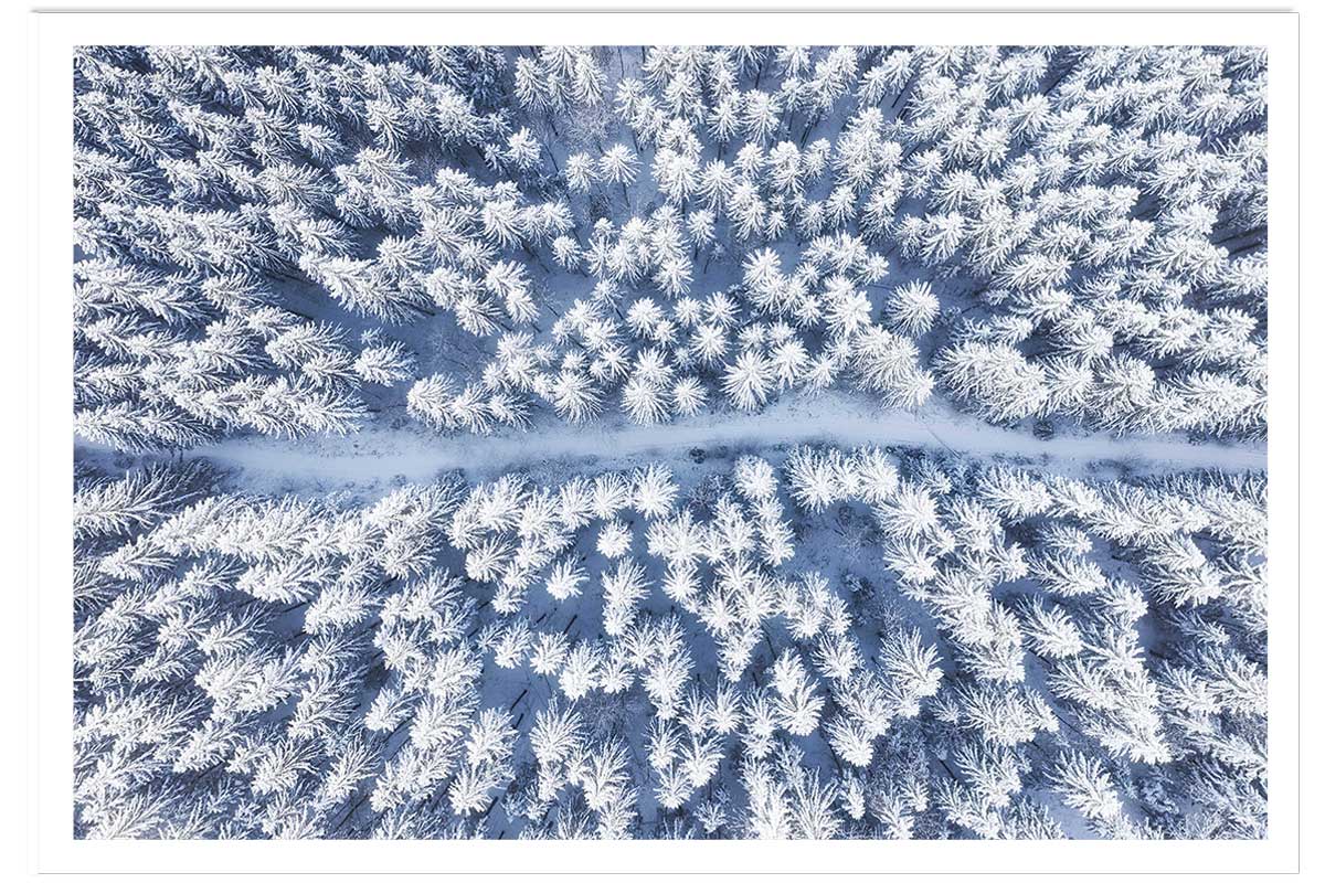 Affiche bleue de neige blanche, HEXOA