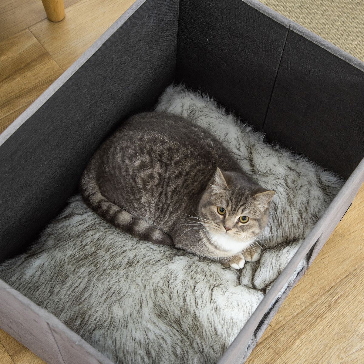 niche chat portable avec poignée sac de transport chat verrouill PawHut Maison chat 