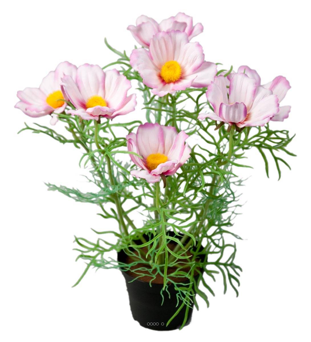 Cosmos fleuries artificielle en pot H 40 cm, ARTIFICIELLES