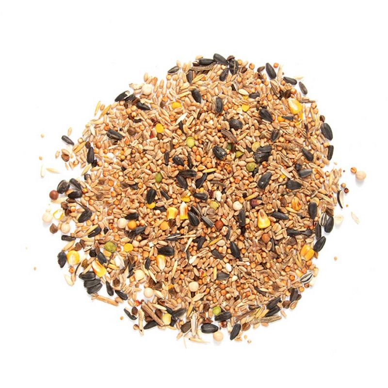 Boîte de Graines de Tournesol pour Oiseaux 4 Saisons – 500 g