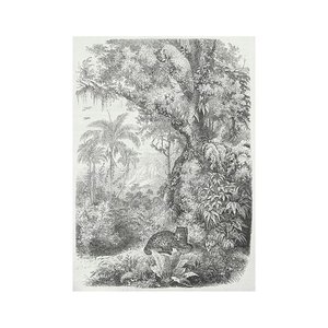 Tableau toile imprimée 50x70  Tropiques panthère