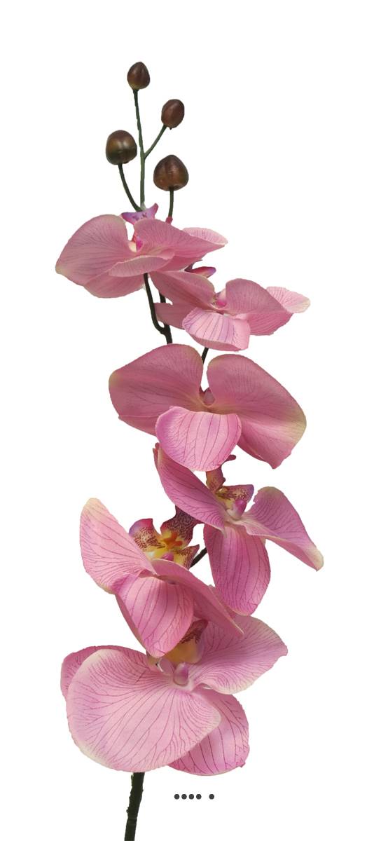 Tige d’orchidée phalaenopsis artificiel, ARTIFICIELLES
