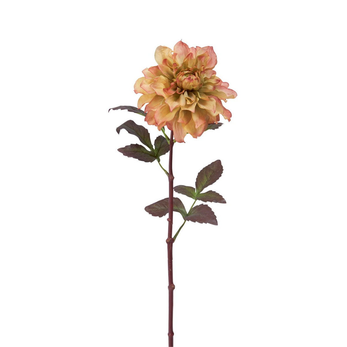 Tige de dahlia artificielle H58, SIA DECO