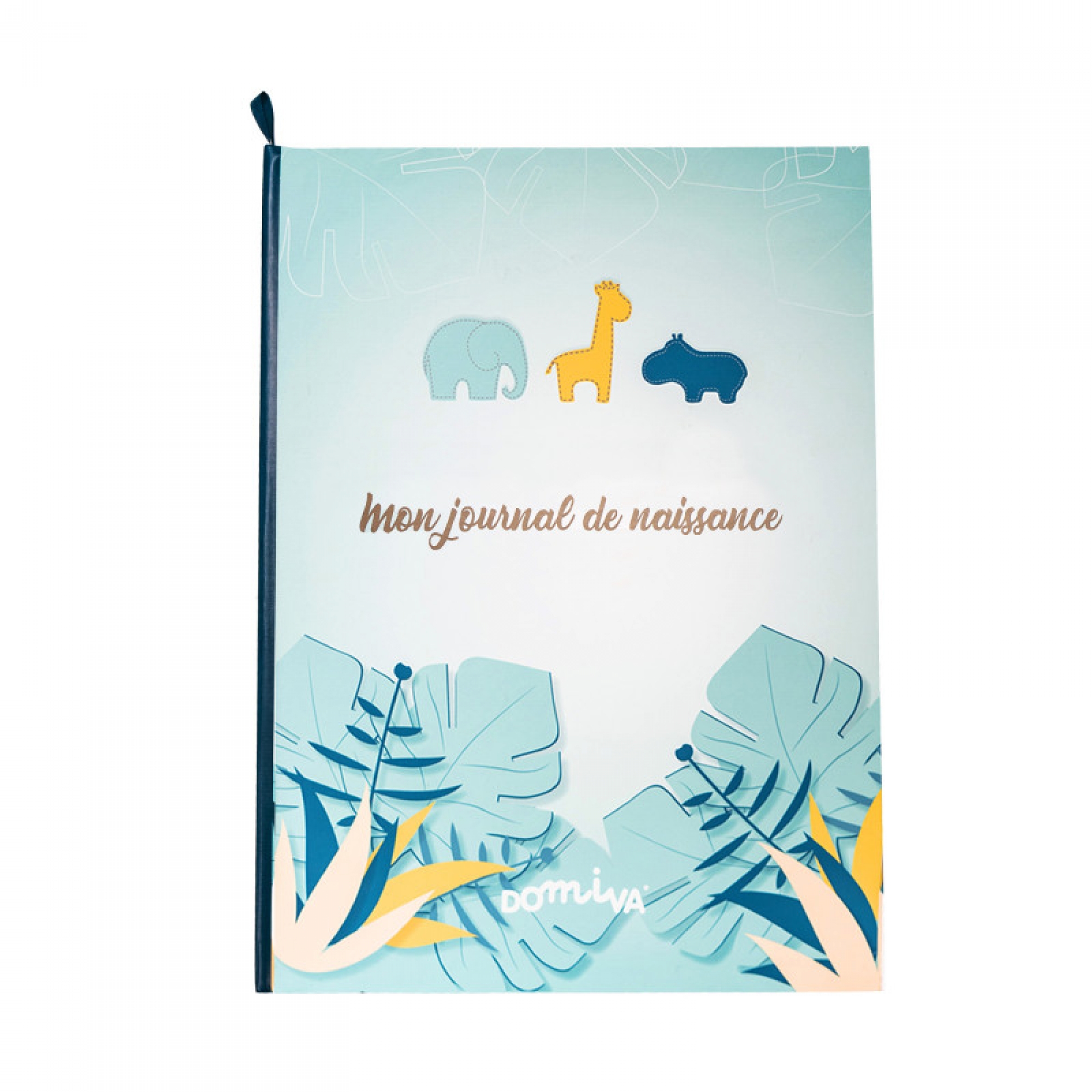Livre de naissance, DOMIVA