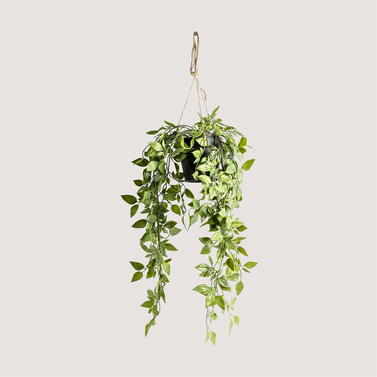 Artificial Hanging Scindapsus, ÉDITÉ