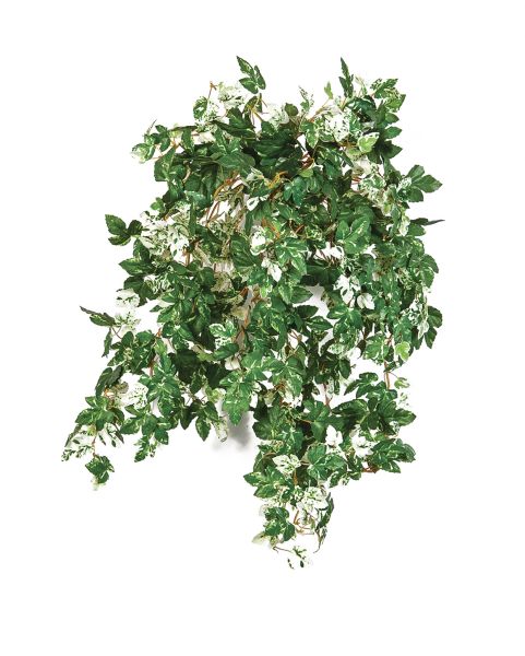 Ampelopsis artificiel panache L 50 cm, ARTIFICIELLES