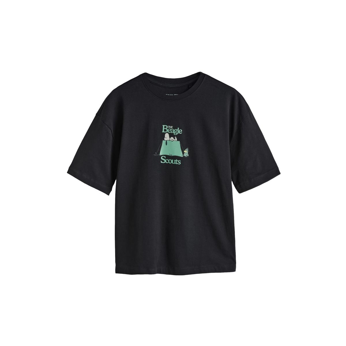 T-shirt, NEXT