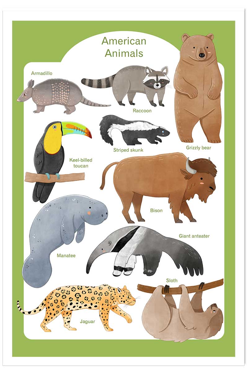 Affiche enfant animaux d'amérique, HEXOA