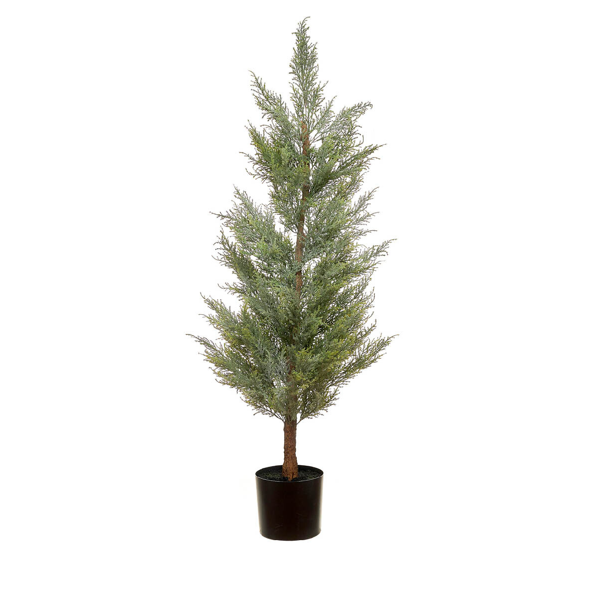 Planta artificial "Cypress" 150cm, BORGHESI, BORGHESI