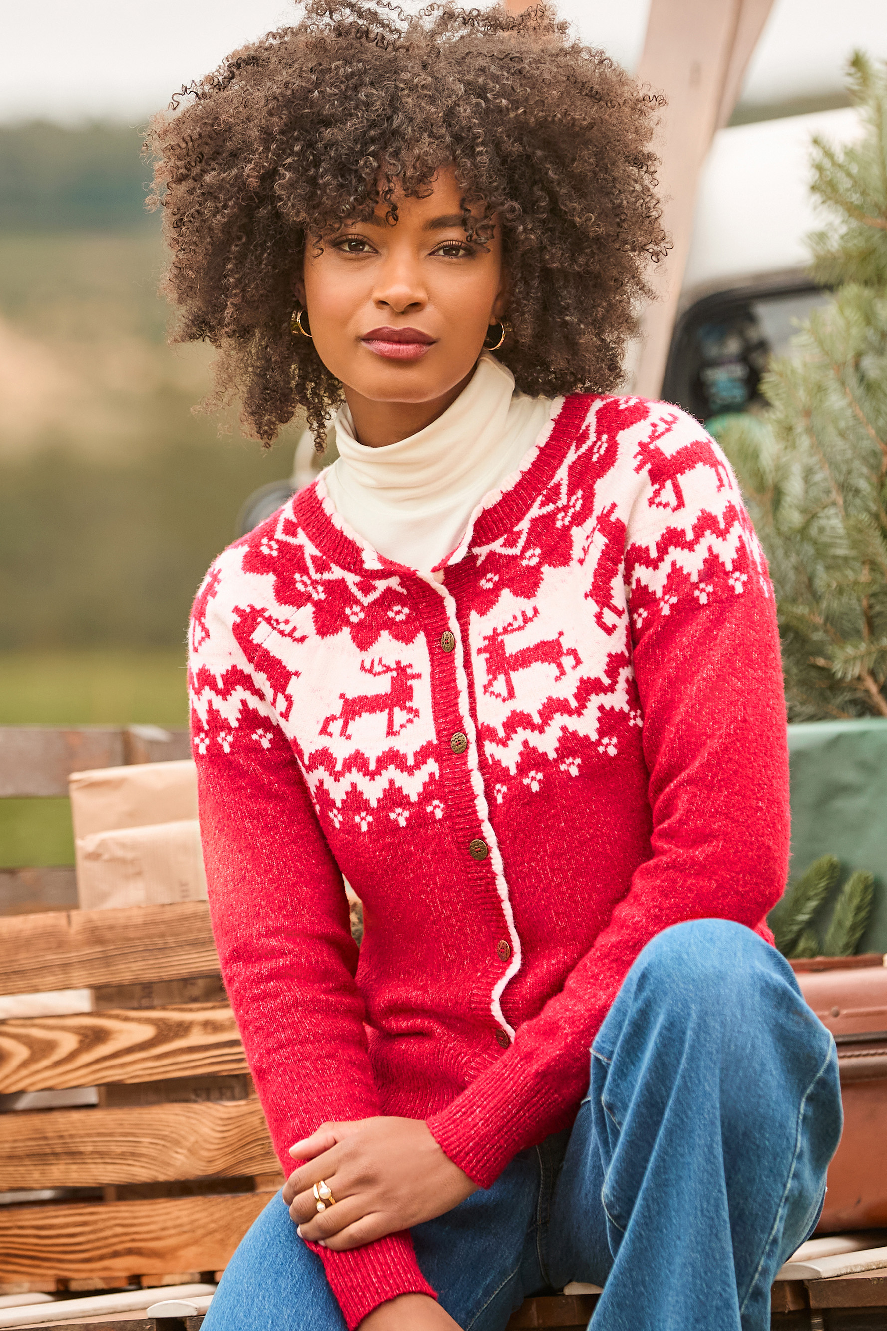 Cardigan Fair Isle Rennes Rétro, JOE BROWNS