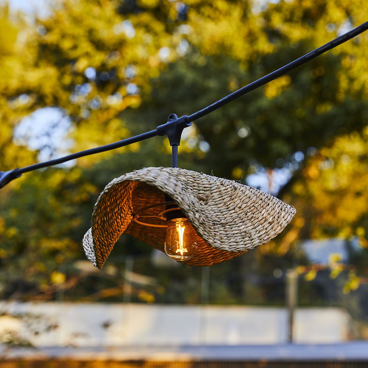 Aménagez un mini-jardin vertical sur votre balcon pour le Printemps