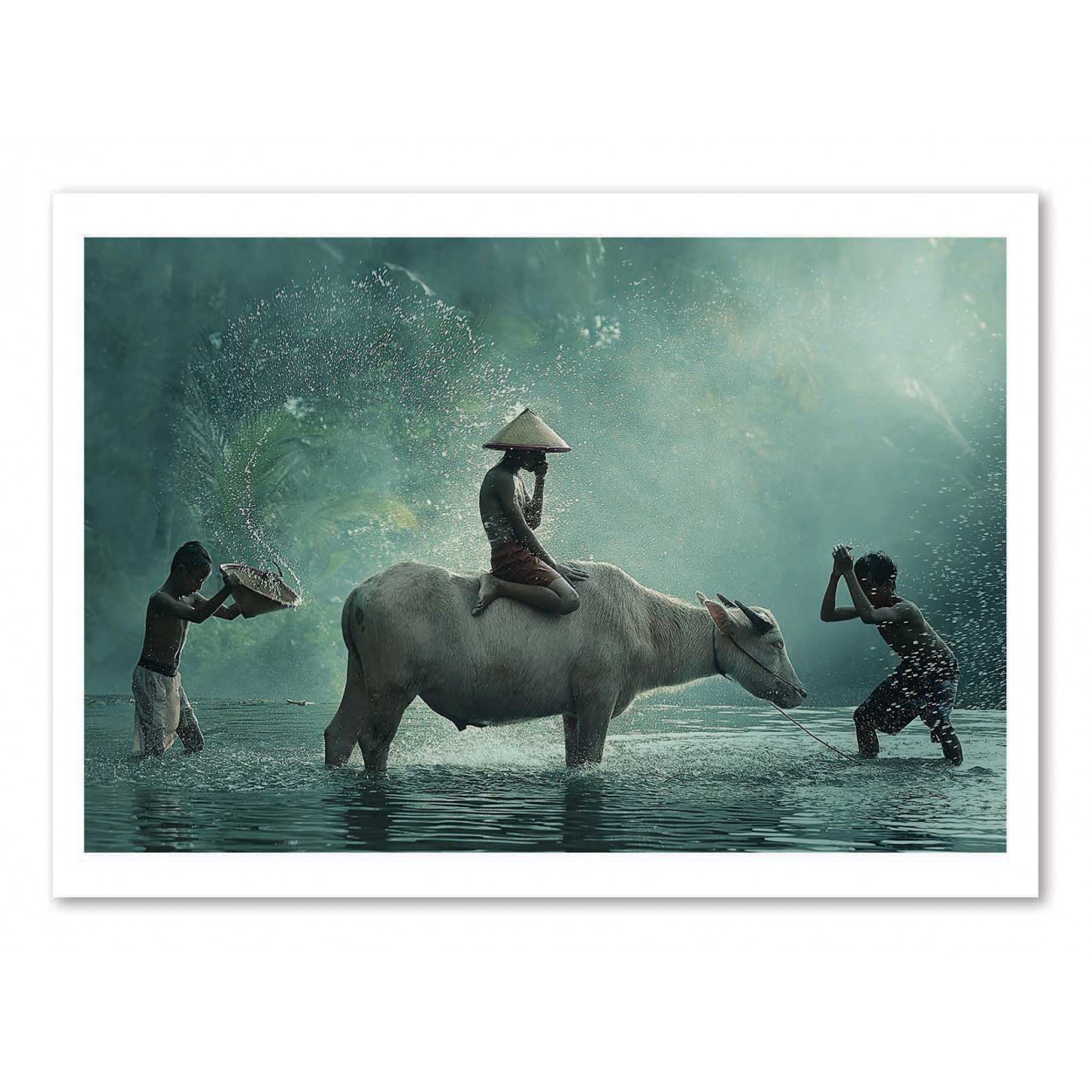 Affiche d'art - Water Buffalo - Vichaya, WALL EDITIONS