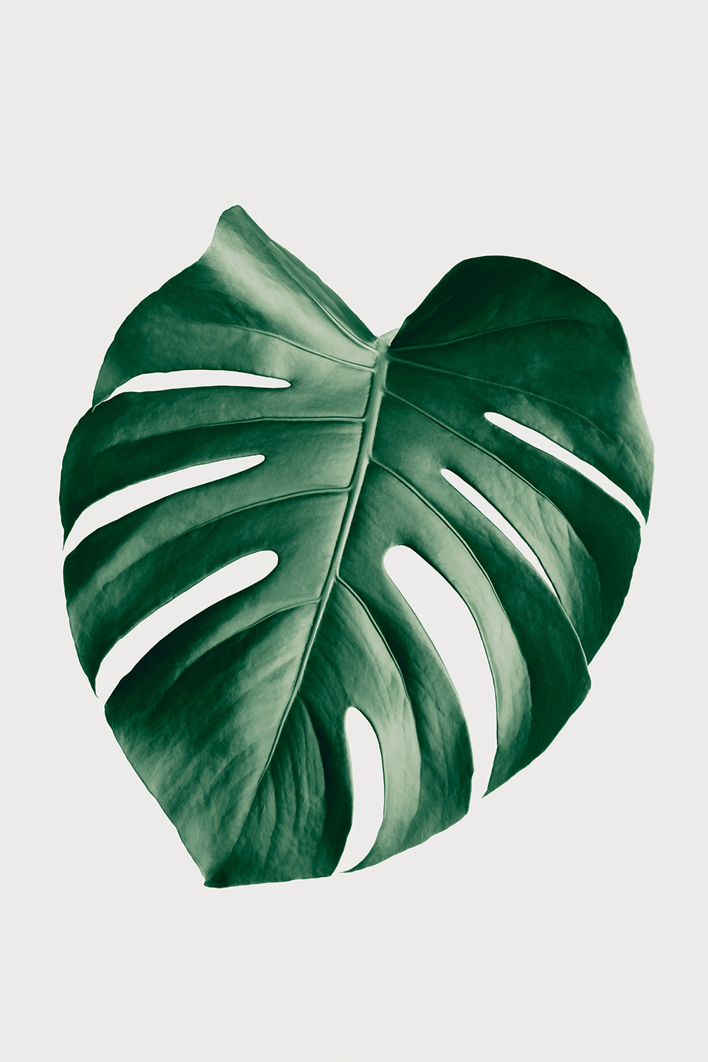Tableau monstera perfect, HEXOA