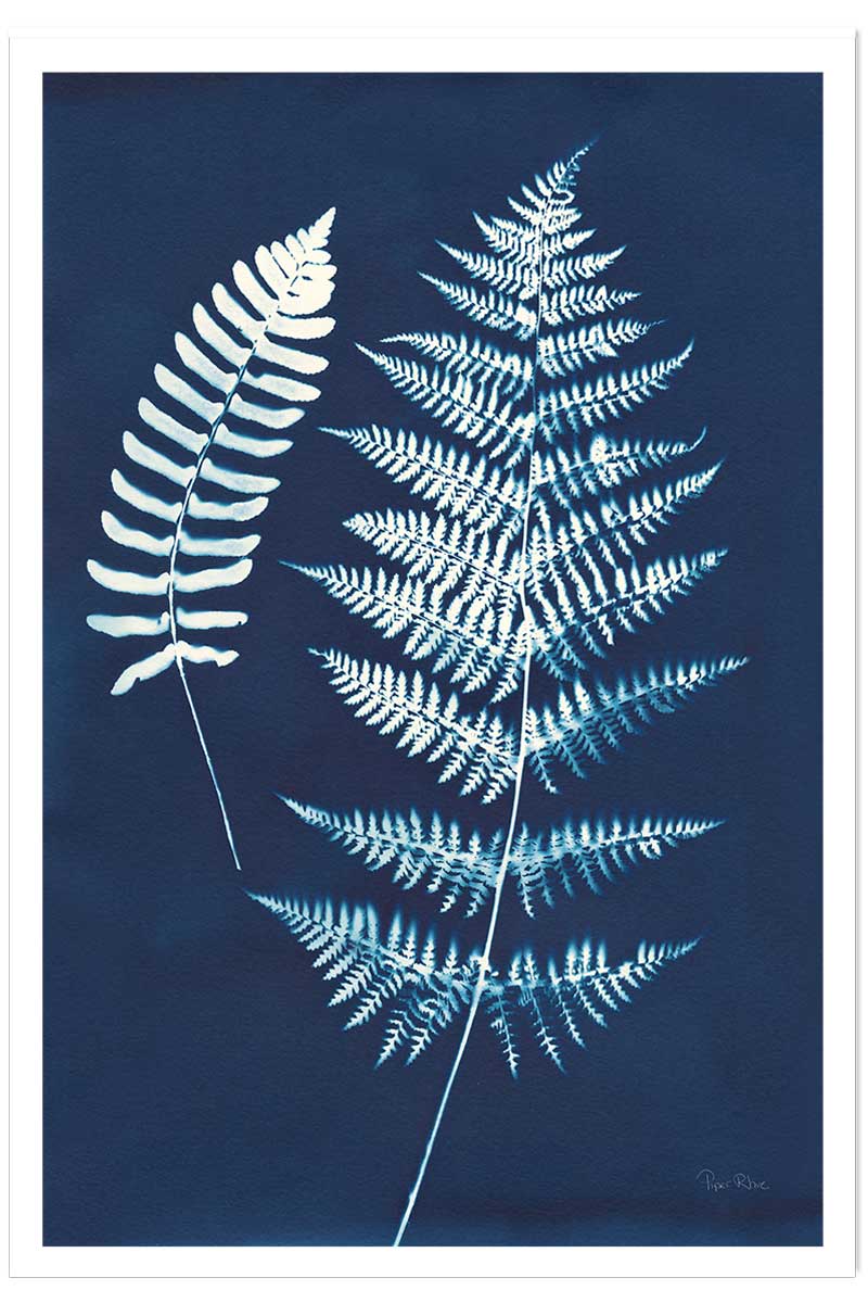 Affiche Duo fougères bleues, HEXOA