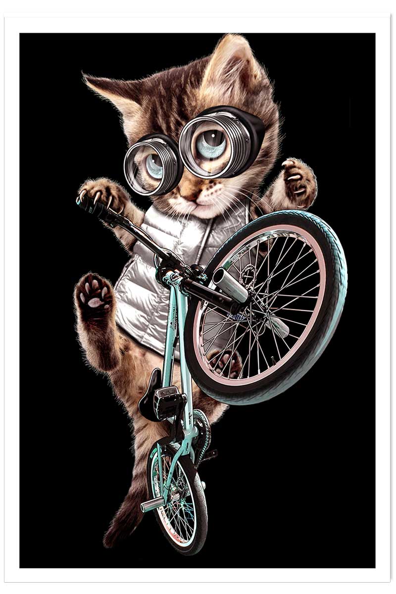 Affiche enfant bmx chat, HEXOA