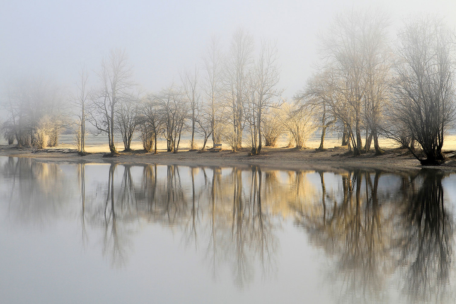 Tableau paysage Une journee de janvier, HEXOA