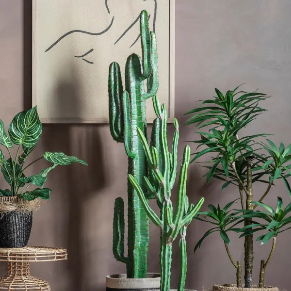 Artificial Plants & Succulents